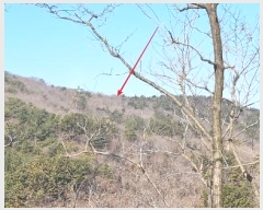  2024Ÿ508147 õ  ڿ º 124      (Ӿ)