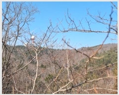  2024Ÿ508147 õ  ڿ º 124      (Ӿ)