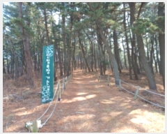  2024Ÿ508147 õ  ڿ º 124      (Ӿ)