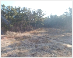  2024Ÿ508147 õ  ڿ º 124      (Ӿ)