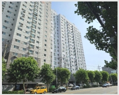  2024Ÿ511150 õ Ȧ η 165, 8805ȣ (ȭ,Ƽ)     ǽڰ