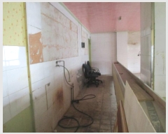  2024Ÿ516384  ٸ󰡰