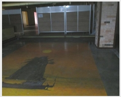  2024Ÿ516384  ٸ󰡰