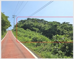  2024Ÿ544624 õ   Ƹ 213      (Ӿ)