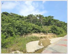  2024Ÿ544624 õ   Ƹ 213      (Ӿ)