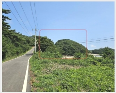  2024Ÿ544624 õ   Ƹ 213      (Ӿ)