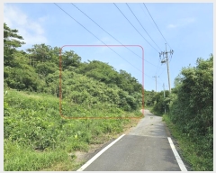  2024Ÿ544624 õ   Ƹ 213      (Ӿ)