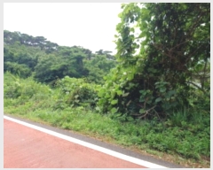  2024Ÿ544624 õ   Ƹ 213      (Ӿ)