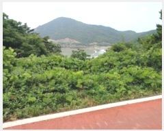  2024Ÿ544624 õ   Ƹ 213      (Ӿ)