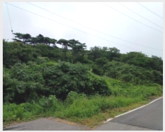  2024Ÿ544624 õ   Ƹ 213      (Ӿ)