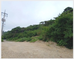  2024Ÿ544624 õ   Ƹ 213      (Ӿ)