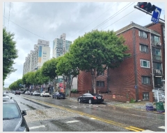  2024Ÿ��549766  �ټ���(����)���