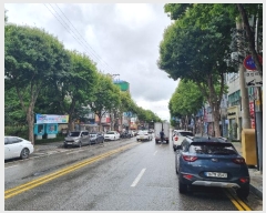  2024Ÿ��549766  �ټ���(����)���