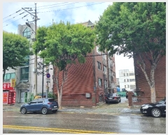  2024Ÿ��549766  �ټ���(����)���