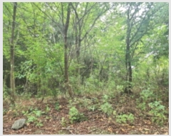  2024Ÿ��552410  �Ӿ߰��