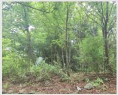  2024Ÿ��552410  �Ӿ߰��