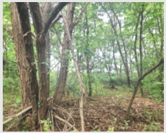  2024Ÿ��552410  �Ӿ߰��