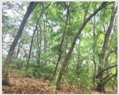  2024Ÿ��552410  �Ӿ߰��