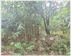  2024Ÿ��552410  �Ӿ߰��