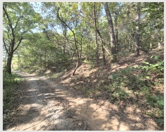  2024Ÿ564147 õ ȭ  Ҽ 19-7      (Ӿ)