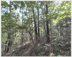  2024Ÿ564147 õ ȭ  Ҽ 19-7      (Ӿ)