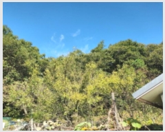  2024Ÿ564147 õ ȭ  Ҽ 19-7      (Ӿ)