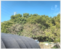  2024Ÿ564147 õ ȭ  Ҽ 19-7      (Ӿ)