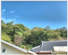  2024Ÿ564147 õ ȭ  Ҽ 19-7      (Ӿ)