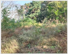  2024Ÿ��566815  ���ð��