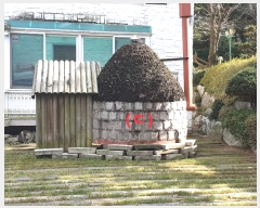  2024Ÿ��566815  ���ð��