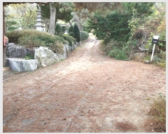  2024Ÿ��566815  ���ð��