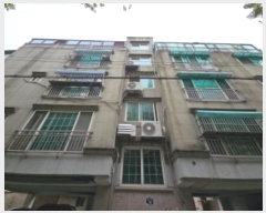  2024Ÿ��13274  �ټ���(����)���