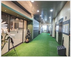  2024Ÿ511426 õ ߱  258, 9903ȣ (,Ÿ)     ,繫ǰ