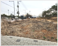  2024Ÿ��515305 ��õ ��籸 ��� 125-12       ����(��1)���