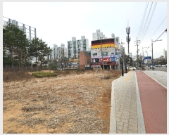  2024Ÿ��515305 ��õ ��籸 ��� 125-12       ����(��1)���