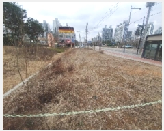  2024Ÿ��515305 ��õ ��籸 ��� 125-12       ����(��1)���