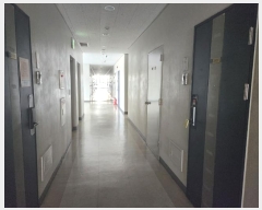  2024Ÿ��524408 ��õ ���� ������ 45, 15��2��-1521ȣ (����,�������������Ʈ)     ���ǽ��ڰ��