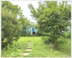  2024Ÿ531635 õ ߱ ߻굿 1850-404       ð