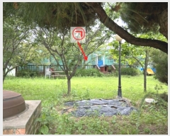  2024Ÿ531635 õ ߱ ߻굿 1850-404       ð