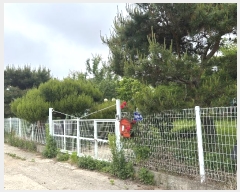  2024Ÿ531635 õ ߱ ߻굿 1850-404       ð