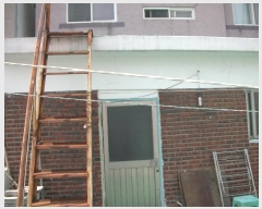  2024Ÿ540318 õ Ȧ Ϸ236 46-5       ð