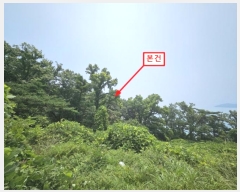  2024Ÿ542550 õ   Ҿ߸ 96      (Ӿ)