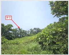  2024Ÿ542550 õ   Ҿ߸ 96      (Ӿ)