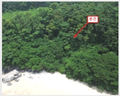  2024Ÿ542550 õ   Ҿ߸ 96      (Ӿ)