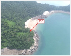  2024Ÿ542550 õ   Ҿ߸ 96      (Ӿ)