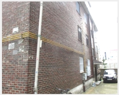  2024Ÿ551790 õ  ַ135 19, 1102ȣ (,ǳ 1)    ټ,