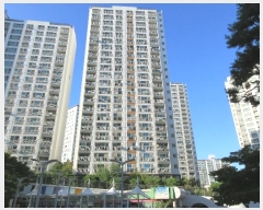  2024Ÿ559206 õ  165 24, 106 6602ȣ (,ũ)    Ʈ