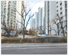  2024Ÿ��584165  ����Ʈ���