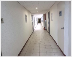  2024Ÿ��564741  ���ǽ��ڰ��