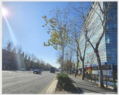  2024Ÿ574786 õ   353, 101030ȣ (̵,̷üŸĻ)     ǽڰ